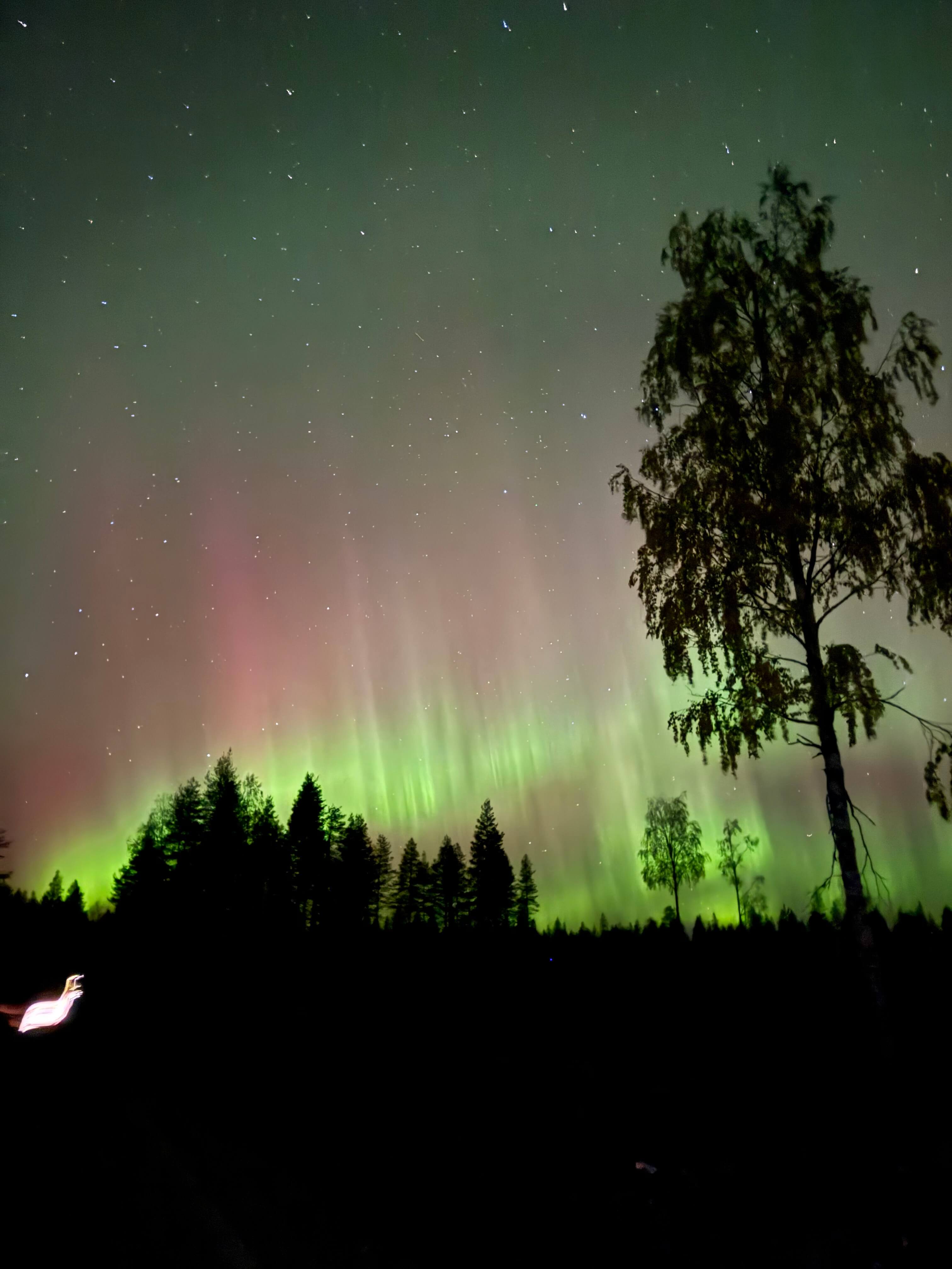 In Rovaniemi
